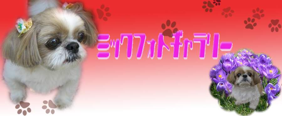 �~�b�N�o�i�[